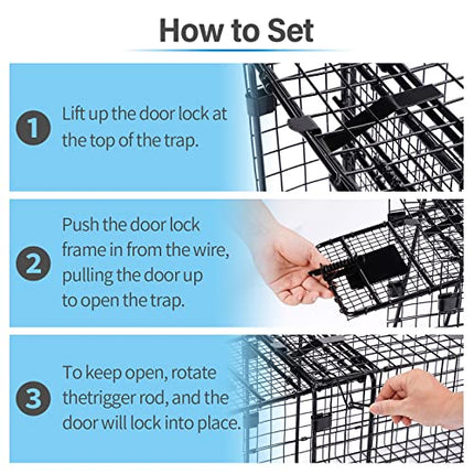 Humane Way Folding 32 Inch Live Humane Animal Trap - Safe Traps for All Animals - Raccoons, Cats, Groundhogs, Opossums - 32"x10"x12",Black