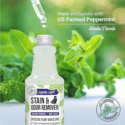 Mighty Mint Stain & Odor Remover, Natural Enzyme Spray Safely Neutralizes Odor and Stains from Dogs, Cats on Carpet, Furniture, Natural Peppermint Scent, 16oz