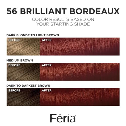 L'Oreal Paris Feria Multi-Faceted Shimmering Permanent Hair Color, 56 Brilliant Bordeaux (Auburn Brown), Pack of 1, Hair Dye