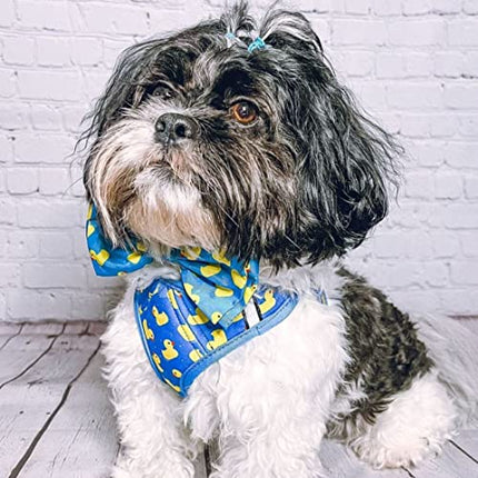 Huxley & Kent Bow Tie for Pets | Lucky Ducky (Small) | Easter Spring Velcro Bow Tie Collar Attachment | Fun Bow Ties for Dogs & Cats | Cute, Comfortable, and Durable | H&K Bow Tie