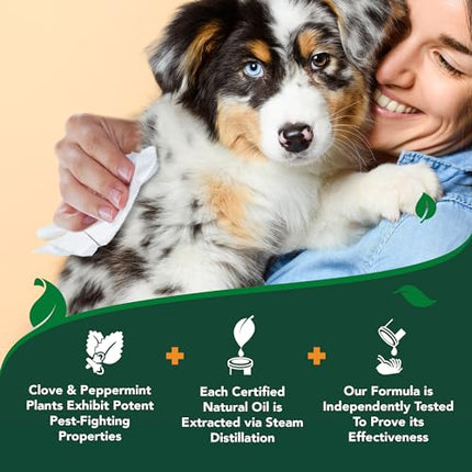 Vet's Best Flea and Tick Wipes for Dogs and Cats - Flea Treatment for Cats and Dogs - Plant-Based Formula - Certified Natural Oils - 50 Count