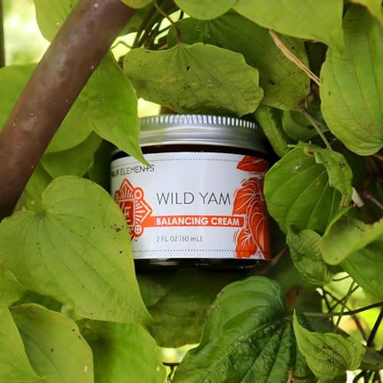 Four Elements 4E Organic Wild Yam Balancing Cream, 2 OZ - 1st Place Winner at the 2023 International Herb Symposium for Medicinal Creams and Salves! Proudly Farmed, Crafted and Packaged in WI, USA.