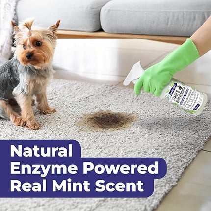 Mighty Mint Stain & Odor Remover, Natural Enzyme Spray Safely Neutralizes Odor and Stains from Dogs, Cats on Carpet, Furniture, Natural Peppermint Scent, 16oz