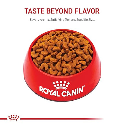 Royal Canin French Bulldog Puppy Dry Dog Food, 10.5 lb Bag