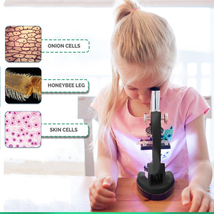 buy AmScope 120X-1200X 52-pcs Kids Beginner Microscope STEM Kit with Metal Body Microscope in India