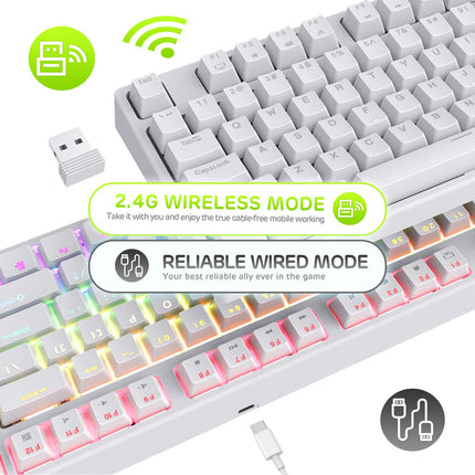 RK ROYAL KLUDGE Sink87G Wired/Wireless TKL Mechanical Gaming Keyboard, No Numbpad Compact 2.4G RGB Wireless Keyboard (White)