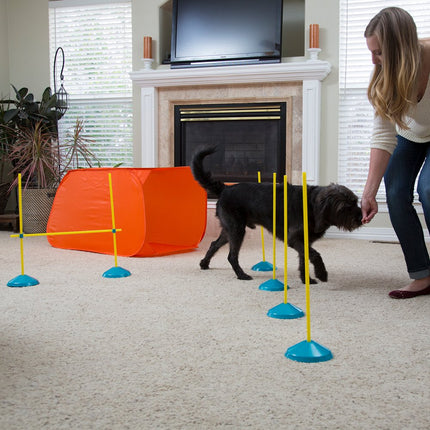 Outward Hound Zip & Zoom Indoor Dog Agility Training Kit for Dogs