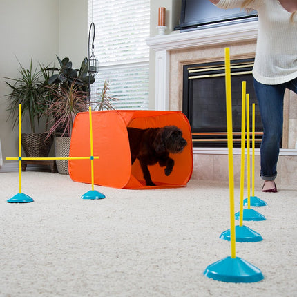 Outward Hound Zip & Zoom Indoor Dog Agility Training Kit for Dogs