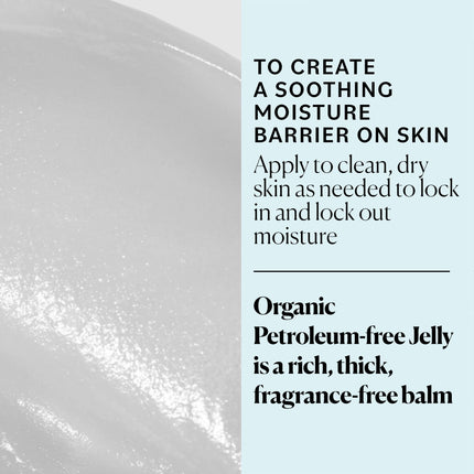 Sky Organics Organic Petroleum-free Jelly, Multi-Purpose Balm, Moisturizer with Organic Shea Butter, Coconut Oil, Olive Oil & Vitamin E, 2.5 Oz