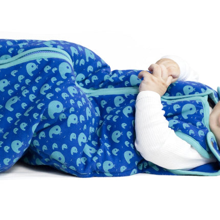 Baby Deedee Sleep Nest Tee, Warm Baby Sleeping Bag, Playful Whales, Medium (6-18 Months)