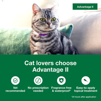 Buy Advantage II Small Cat Vet-Recommended Flea Treatment & Prevention | Cats 5-9 lbs. | 2-Month Supply in India India