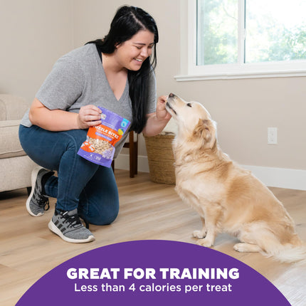 Buy Outward Hound Nina Ottosson Puzzle Bitez Training Treats for Dogs Peanut Butter Flavor Soft Small Bites in India.