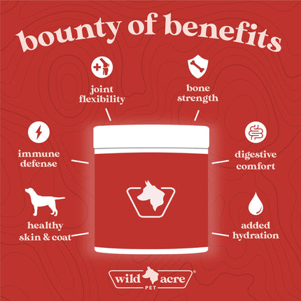 Wild Acre Premium Beef Bone Broth for Dogs – High Protein + Collagen Enhanced with Mushroom Blend for Strong Bones, Joint Flexibility, Digestive Comfort, and Immune Support - Natural Dog Food Topper
