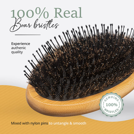 Buy Belula Boar Bristle Hair Brush - Hair Brushes for Women & Mens Hair Brush, Detangler Brush, Hair in India