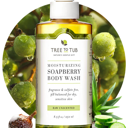 Tree to Tub Unscented Body Wash for Sensitive Skin & Dry Skin - Moisturizing pH Balanced Fragrance Free Body Wash, Hydrating Sulfate Free Body Soap for Women & Men w/Organic Shea Butter, Natural Aloe