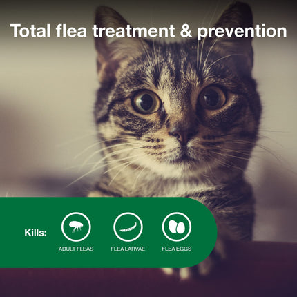 Buy Advantage II Small Cat Vet-Recommended Flea Treatment & Prevention | Cats 5-9 lbs. | 2-Month Supply in India India