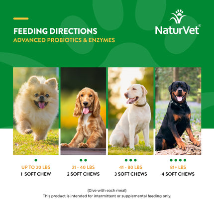 Veterinarian Strength Advanced Probiotics, Healthy Enzymes and PB6 Probiotic Supplement For Your Dogs Stomach, Intestine, Digestion and GI Tract health, Made by NaturVet, 120 Soft Chews