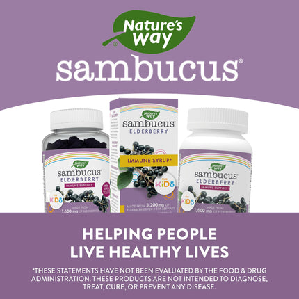 Nature's Way Sambucus Elderberry Immune Syrup for Kids with Echinacea & Propolis, Immune Support*, Berry Flavored, 4 Fl. Oz.