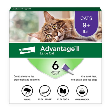 Buy Advantage II Large Cat Vet-Recommended Flea Treatment & Prevention | Cats Over 9 lbs. | 6-Month Supply in India India