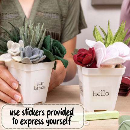 Buy Hapinest Make Your Own Potted Felt Succulents DIY Kit in India