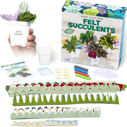 Buy Hapinest Make Your Own Potted Felt Succulents DIY Kit in India