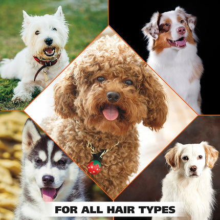 Wahl USA Dry Skin & Itch Relief Pet Shampoo for Dogs – Oatmeal Formula with Coconut Lime Verbena & Pet Friendly Formula, 24 Oz - Model 820004A
