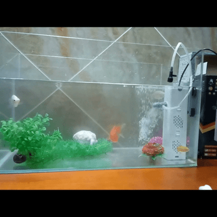 Video of Maxbell Fish tank Filter in Tank 