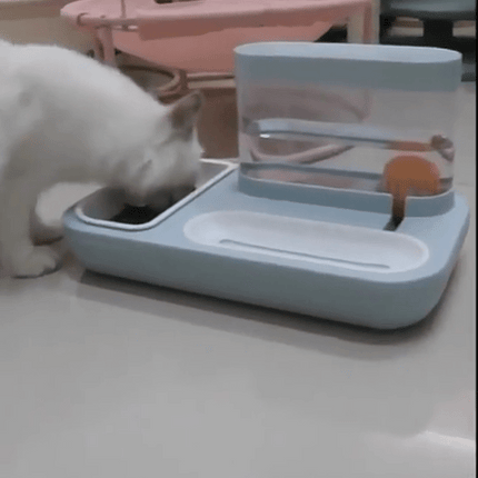 cat drinking water from the bowl 