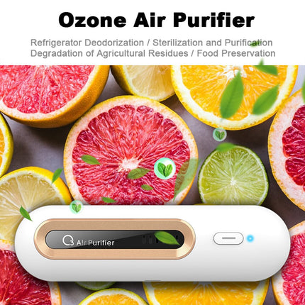 Compact Refrigerator Deodorizer Ozone Sterilizer for Cabinet, Car, Wardrobe
