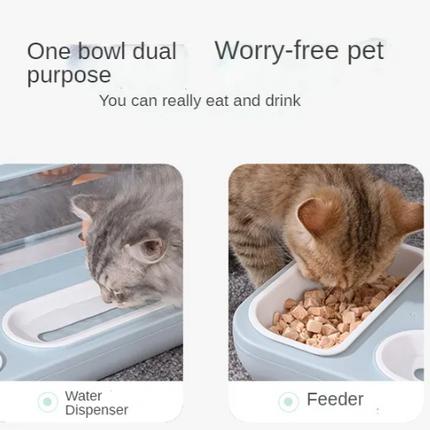 water dispenser and feeder Bowl for Pet