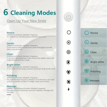 electric toothbrush adults with 6 cleaning modes