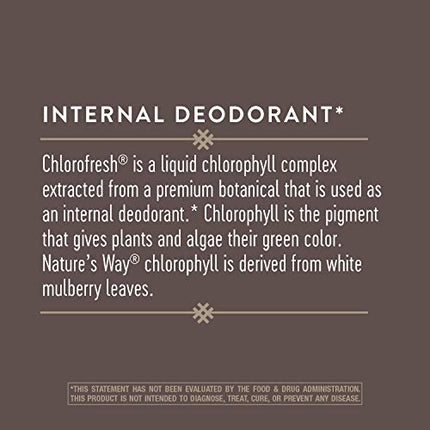 Nature’s Way Chlorofresh Chlorophyllin Drops, Supports Detoxification Pathways*, Liquid Chlorophyllin Copper Complex, Supports Healthy Skin*, Internal Deodorant*, Mint Flavored, 2 Fl Oz.