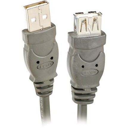 Buy Belkin USB A/A Extension Cable, USB Type-A Female and USB Type-A Male (6 Feet), Black India