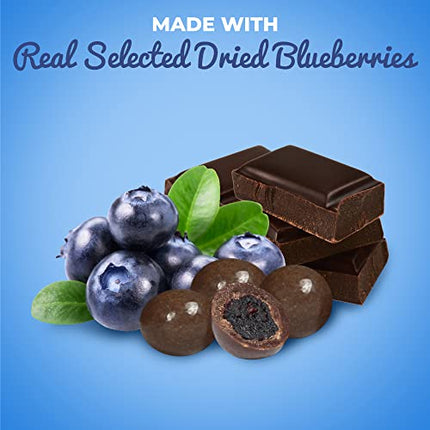 Gourmet Dark Chocolate Blueberries by It’s Delish, 2 LBS Bulk | Dark Chocolate Covered Fruit with Real Dried Blueberries | Kosher and Vegan Snack