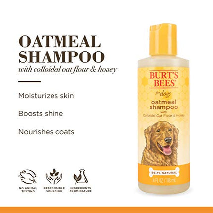 Burt's Bees for Dogs Natural Oatmeal Shampoo with Colloidal Oat Flour and Honey| Oatmeal Dog Shampoo, 4 Ounce Dog Shampoo to Soothe and Cleanse Dogs Skin and Coats in India