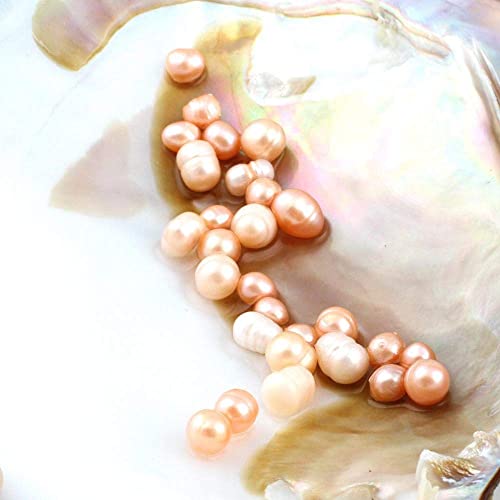Newegg Big Oyster Pearl Party Pearl Freshwater Cultured Oval Pearl Beads (5-7mm 28 pcs/lot) Oysters with Pearl Inside Anniversary Decoration for
