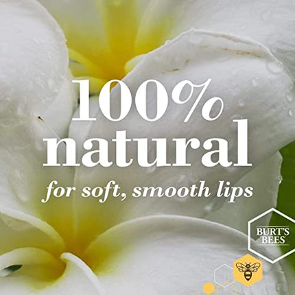 Burt's Bees 100% Natural Moisturizing Lip Balm, Vanilla Bean - 4 Tubes in India