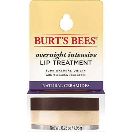 Burt's Bees Lip Care Valentines Day Gifts for Her, Moisturizing Overnight Intensive Treatment Spring Gift, for All Day Hydration, Ultra Conditioning Moisturizer, 0.25 Ounce (Packaging May Vary)