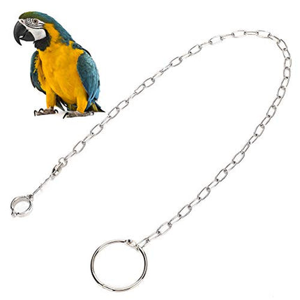 Rehomy Parrot Foot Chain, Stainless Steel Anti-bite Flying Training Anklet Ring Bird Harness for Parrots Macaw African Greys Parakeet Cockatoo Cockatiel Conure Lovebird