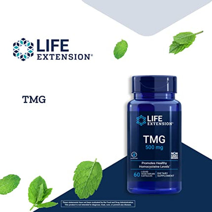 Life Extension TMG 500 mg – Trimethylglycine – For Healthy Homocysteine levels – Gluten-Free, Non-GMO – 60 Liquid Vegetarian Capsules in India