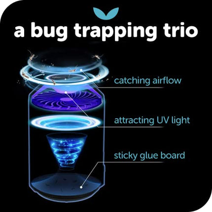 Katchy Indoor Insect Trap - Catcher & Killer for Mosquitos, Gnats, Moths, Fruit Flies - Non-Zapper Traps for Inside Your Home - Catch Insects Indoors with Suction, Bug Light & Sticky Glue (White)