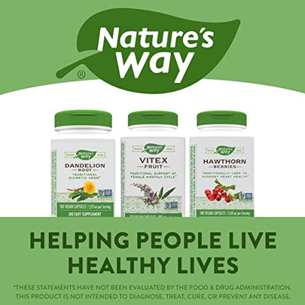 Buy Natureâ€™s Way Vitex Fruit, Traditional Support of Monthly Cycle*, Vegan, Non-GMO, 320 Capsules in India India
