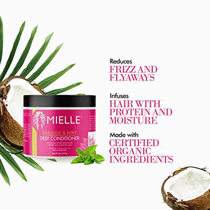Mielle Organics Babassu & Mint Deep Conditioner with Protein, Moisturizing & Conditioning Deep Treatment, Hydrating Repair for Dry, Damaged, & Frizzy Hair, 8-Ounces in India