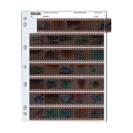 Archival 35mm Size Negative Pages Holds Seven Strips of Five Frames - 100 Pack