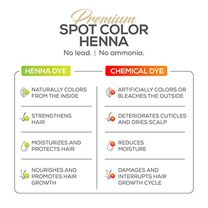Parallel Products Spot Color Henna Kit - Henna Hair Dye - 3 grams - Tint for Professional Spot Coloring - With Mixing Dish - Covers Grey Hair - Root Touch Up (Dark Brown)