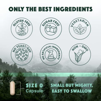 Natural Rhythm Triple Calm Magnesium 150 mg - 120 Capsules – Magnesium Complex Compound Supplement with Magnesium Glycinate, Malate, and Taurate. Calming Blend for Promoting Rest and Relaxation. in India