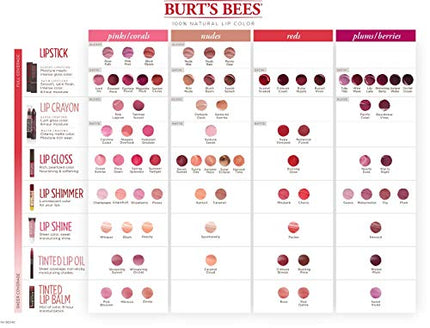 Buy Burt's Bees Lip Care, Moisturizing Lip Shine for Women, 100% Natural, Blush, 0.5 Oz in India India