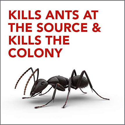 Raid Max Double Control Ant Baits, 0.28 oz, 8 CT (1)