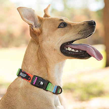 Leashboss Patterned Reflective Dog Collar, Pattern Collection, Colorful Dog Collar with Triple Reflection Threads for Small, Medium and Large Dogs (Medium 13.5"-19.5" Neck x 1" Wide, Blanket Pattern) in India