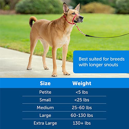 PetSafe Gentle Leader No-Pull Dog Headcollar - The Ultimate Solution to Pulling - Redirects Your Dog's Pulling For Easier Walks - Helps You Regain Control - Medium , Royal Blue